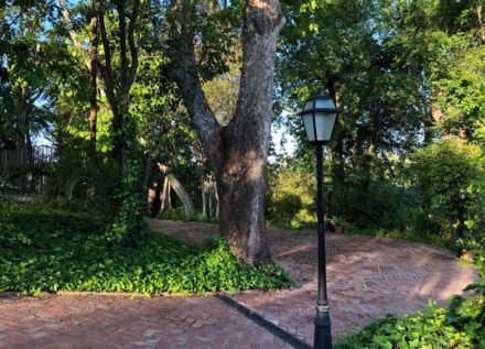 Jardín de Verano