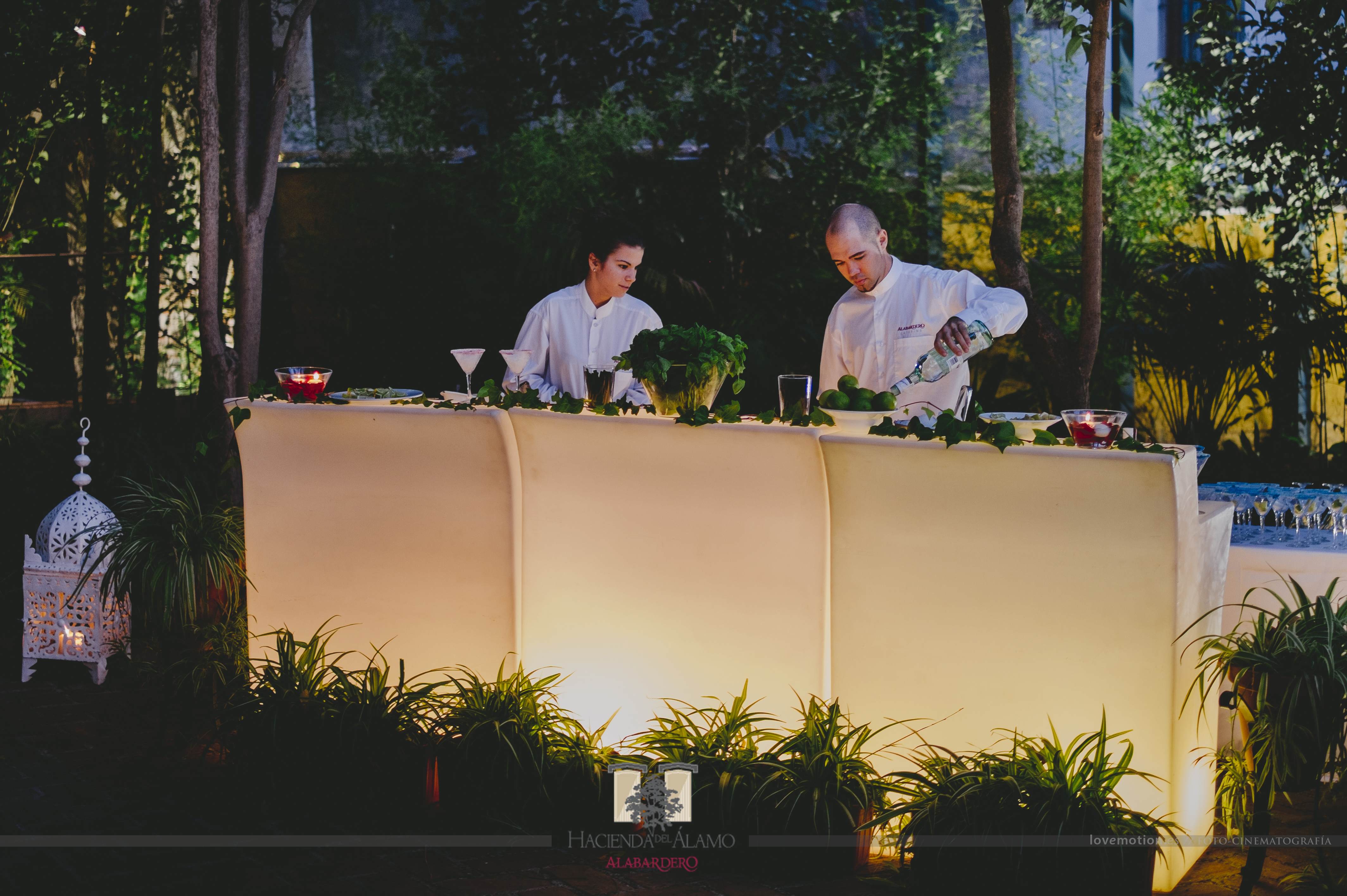 Barra con Luz para Cocktelería - Hda. del Alamo