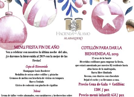 Cena y Fiesta Fin de Año 2018 en Hacienda del Álamo