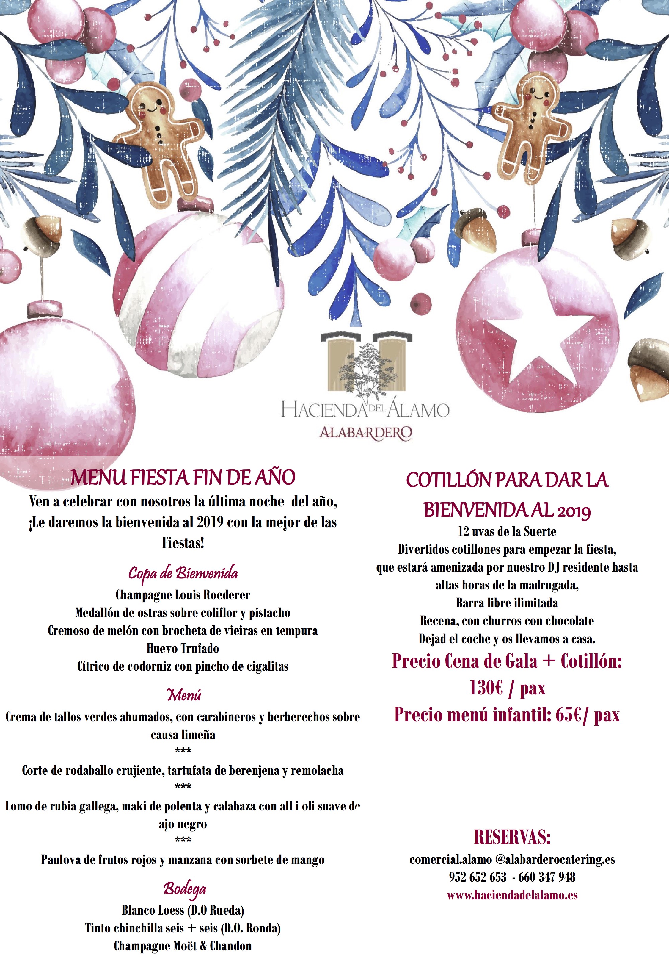 Cena y Fiesta Fin de Año 2018 en Hacienda del Álamo