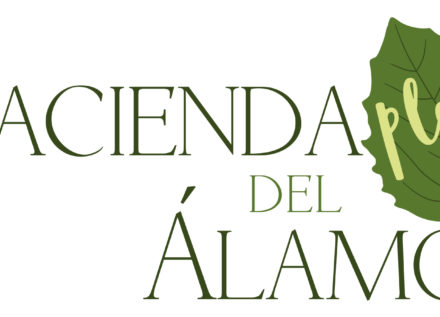 Hacienda del Álamo Play