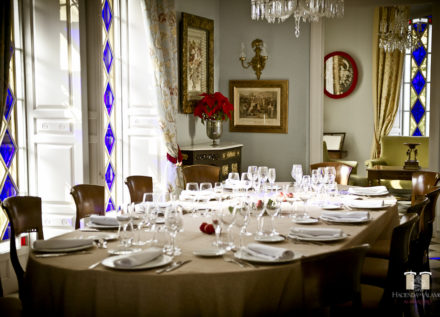 SALON AZUL - NAVIDAD - HDA
